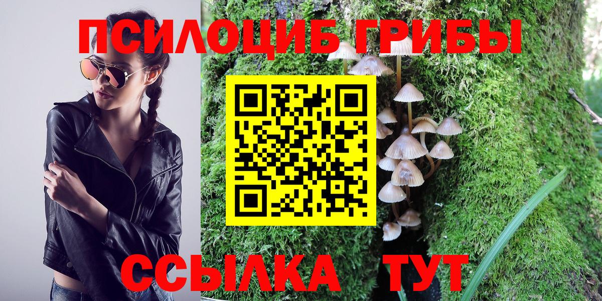 Псилоцибиновые грибы Magic Shrooms Воскресенск