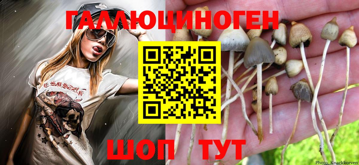 Воскресенск  Галлюциногенные грибы Cubensis  Вход с VPN  Галлюциногенные грибы ЛСД 